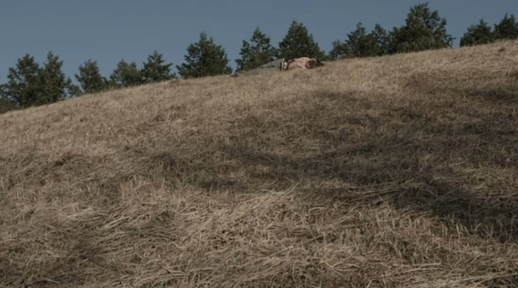 [가면라이더 아마존즈 THE MOVIE] 악마의 아마존즈(강스포)_11.png