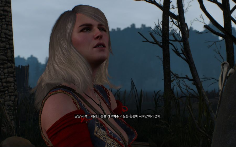 (위쳐3) 키이라 메츠 살리는 선택지는 없음?_3.jpg