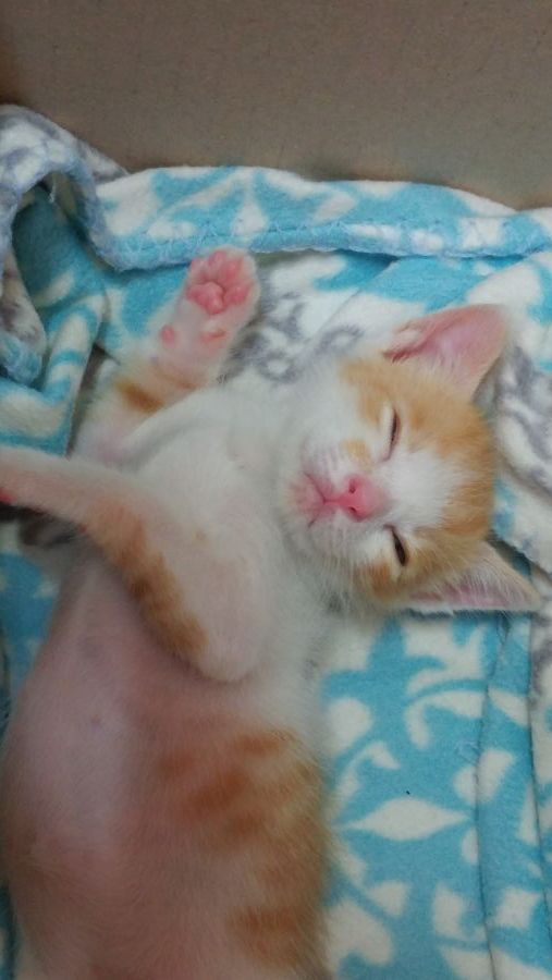 G5/G6/G7 비교해봤습니다_41.jpg