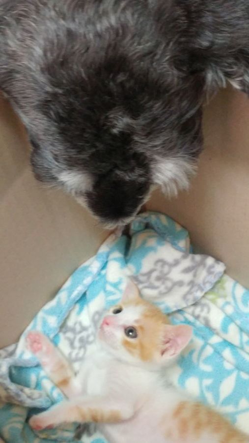 G5/G6/G7 비교해봤습니다_42.jpg