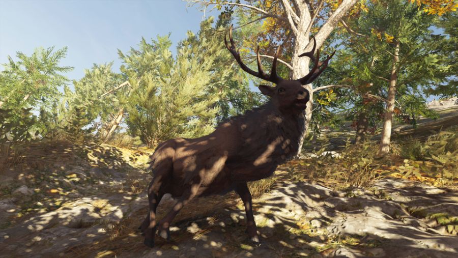 AC_ODYSSEY_016.jpg