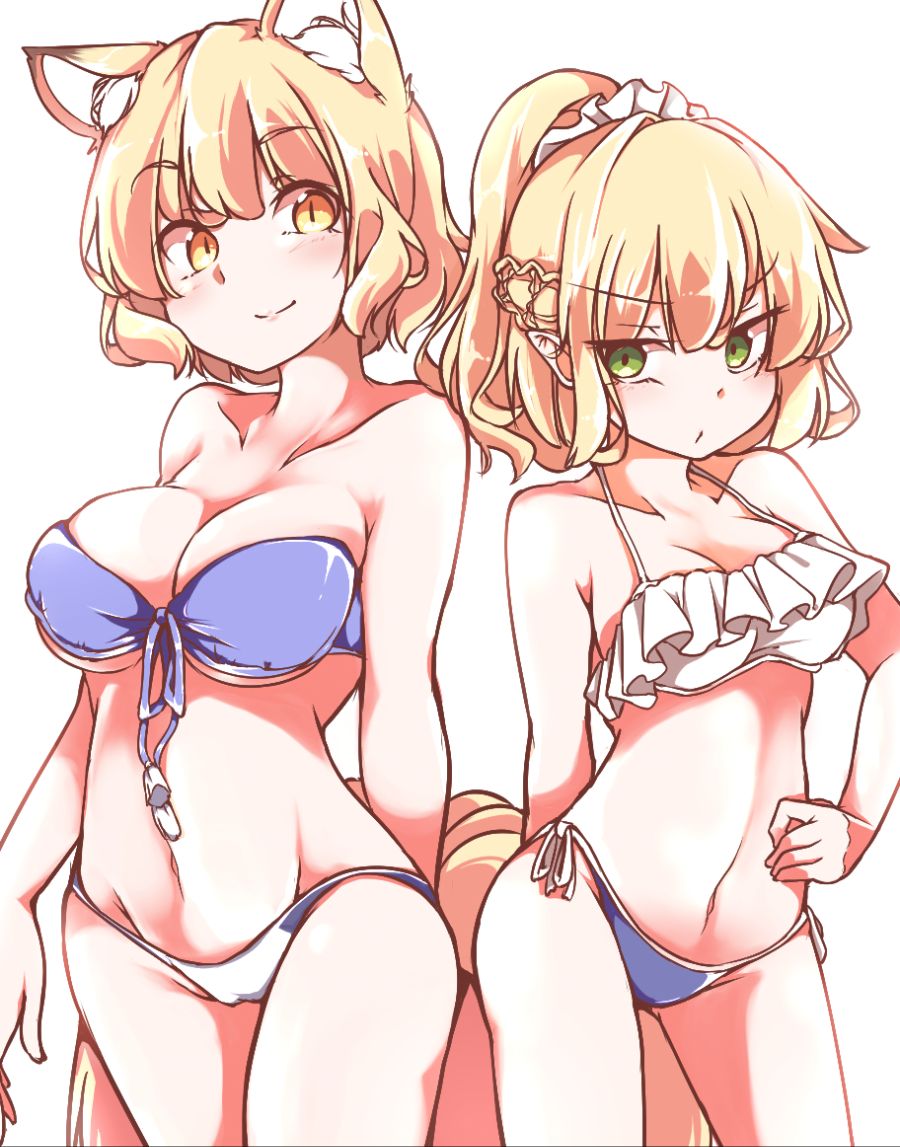 __mizuhashi_parsee_and_yakumo_ran_touhou_drawn_by_gokuu_acoloredpencil__1309213376825c503904d527157dda71.jpg