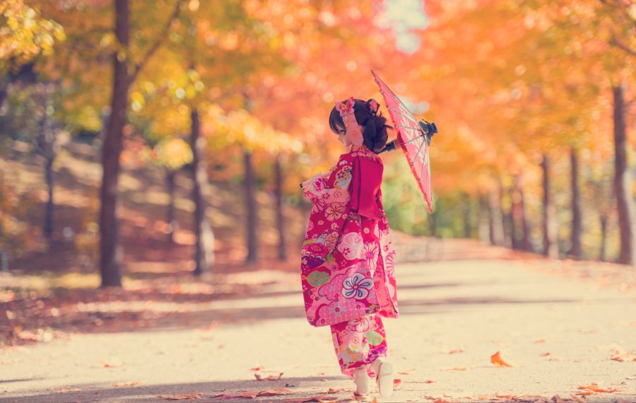 이른 가을 단풍 출사_2.jpg