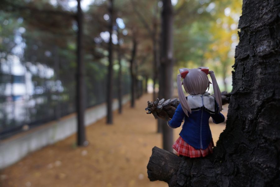 [FAG] 이노센티아와 놀자!_16.jpg