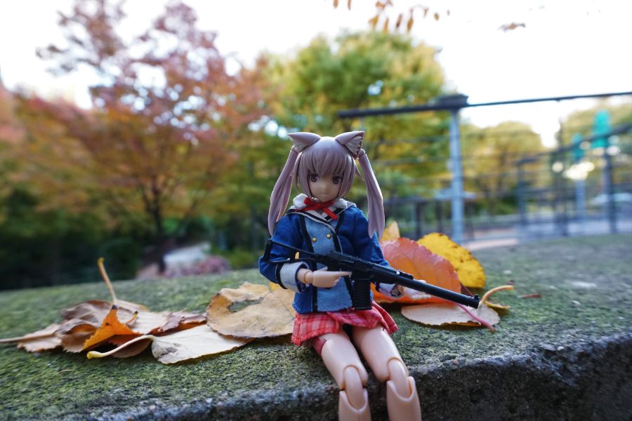 [FAG] 이노센티아와 놀자!_20.jpg