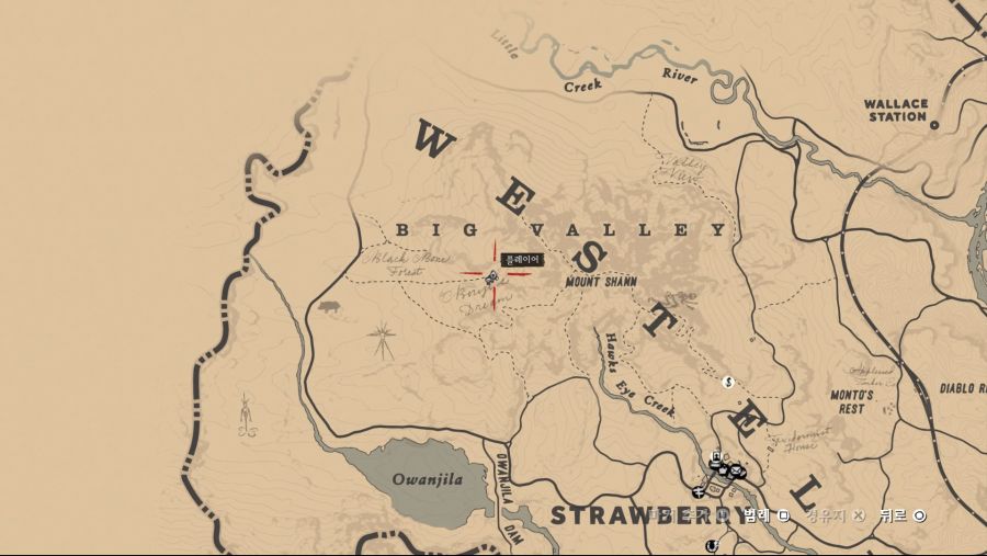 Red Dead Redemption 2_20181103115941.jpg