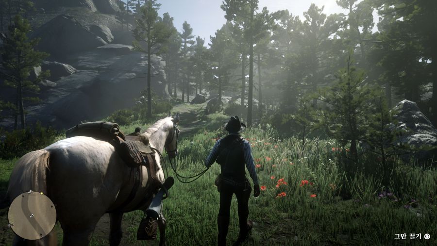 Red Dead Redemption 2_20181107152126.jpg