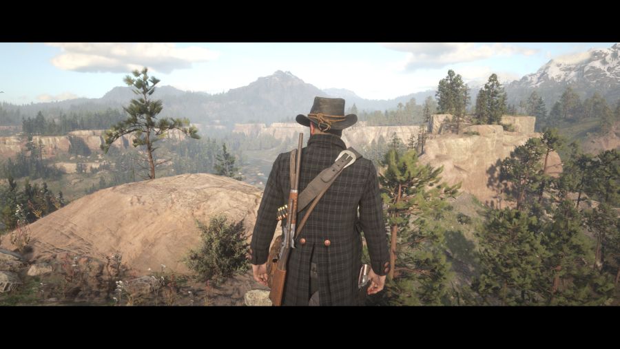 Red Dead Redemption 2 (45).png