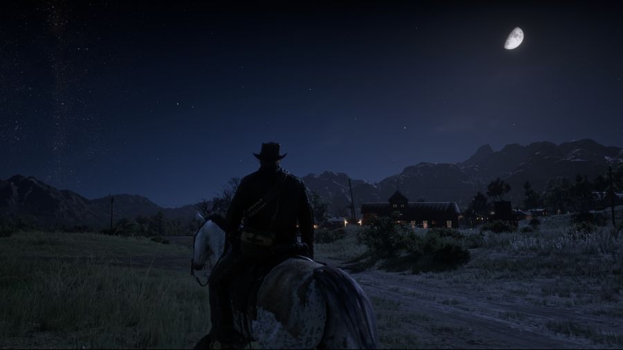 Red Dead Redemption 2 (58).png