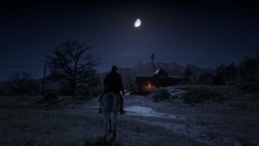 Red Dead Redemption 2 (60).png