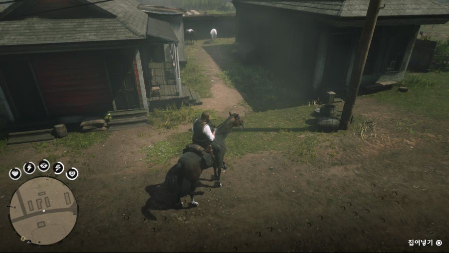 Red Dead Redemption 2_20181108150743.jpg