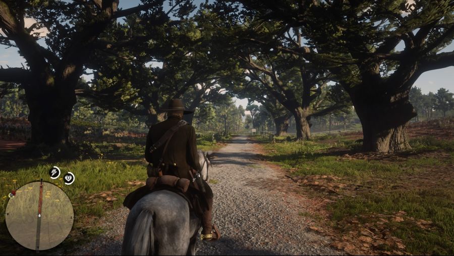 Red Dead Redemption 2_20181110161643.jpg