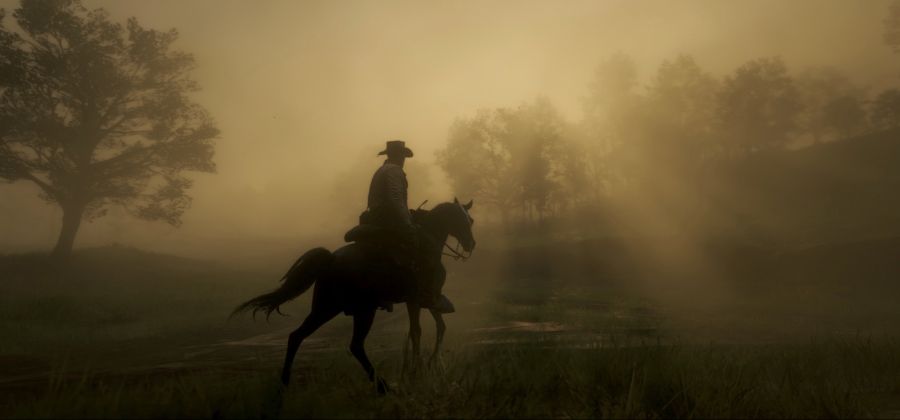 Red Dead Redemption 2_20181108222854.jpeg