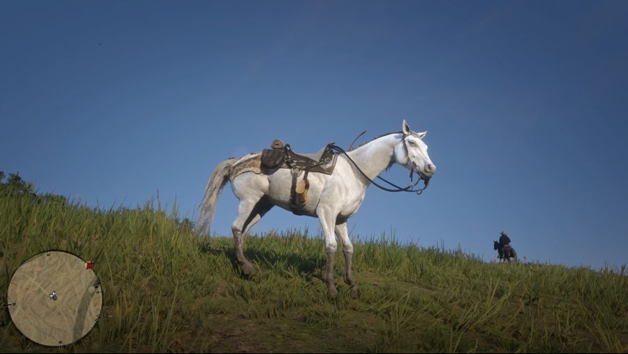 Red Dead Redemption 2_20181113001938.jpg