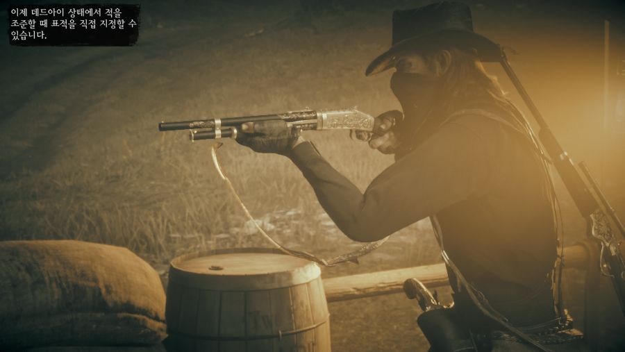 Red Dead Redemption 2_20181118224133.png