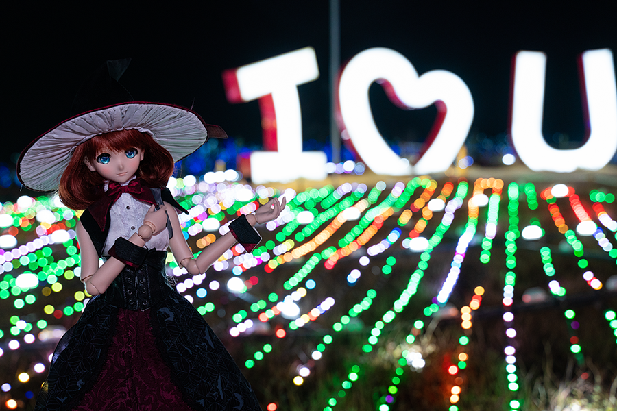 야간 출사, 첫눈 출사_6.png