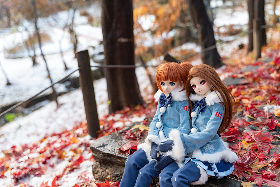 야간 출사, 첫눈 출사_18.png