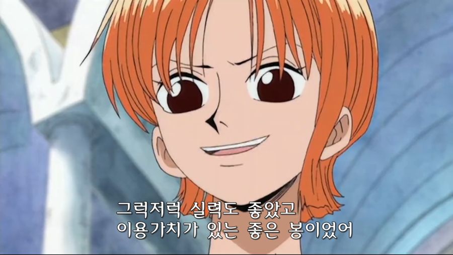 원피스 나미 과거