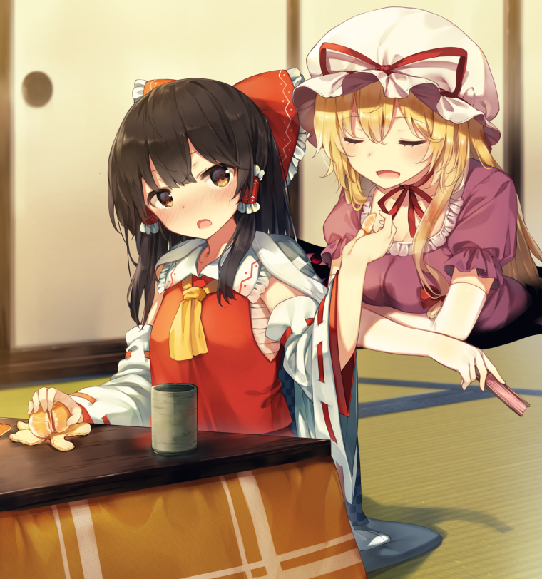 __hakurei_reimu_and_yakumo_yukari_touhou_drawn_by_shinoba__33177e57f6fca2e72bc26540315168a9.png