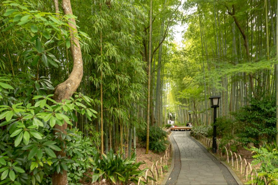 [스압] 러브라이브 없이도 누마즈를 즐기는 법 - 시즈오카 여행_47.jpg