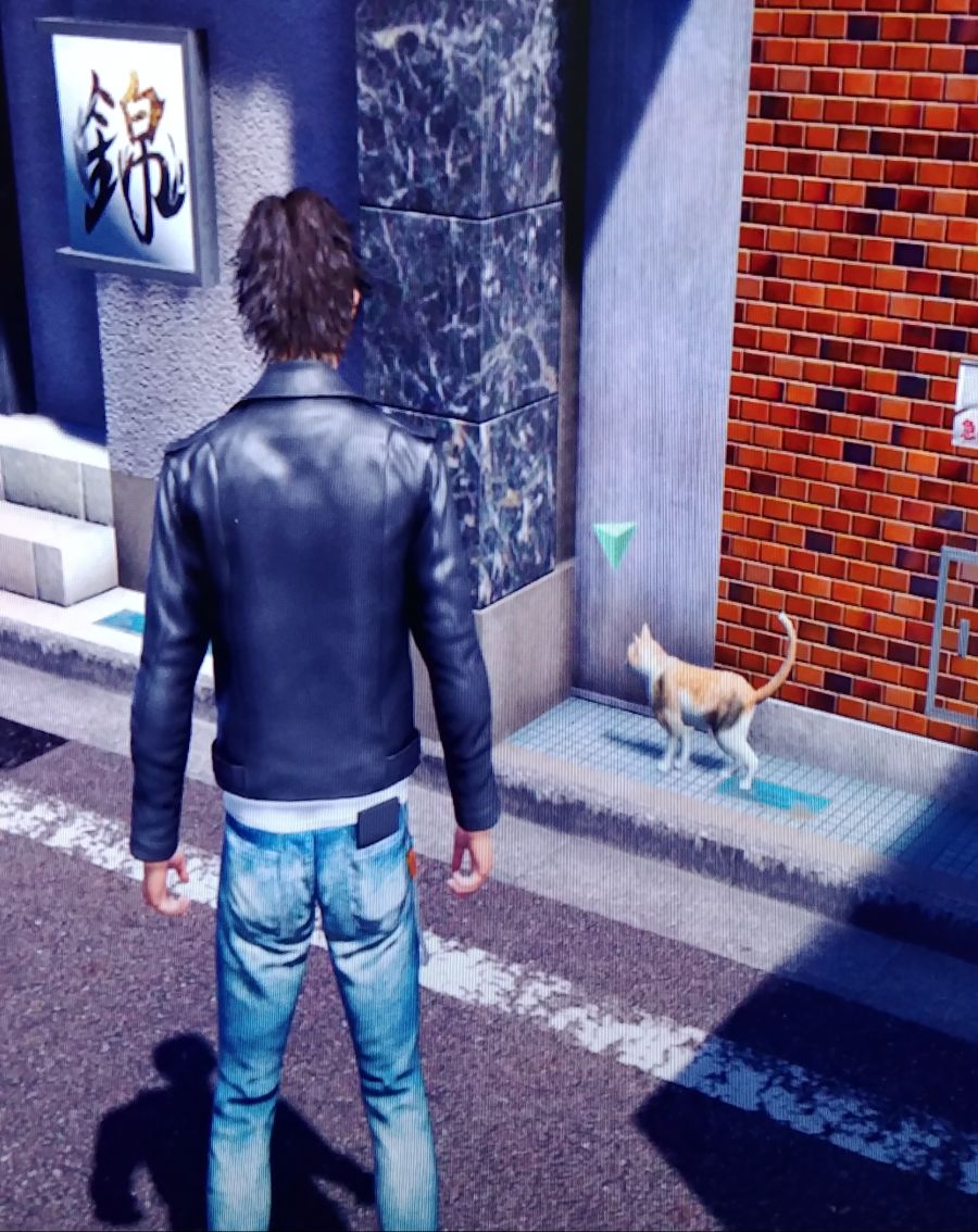 네코미야 프렌드 이벤트 고양이 위치_2.jpg