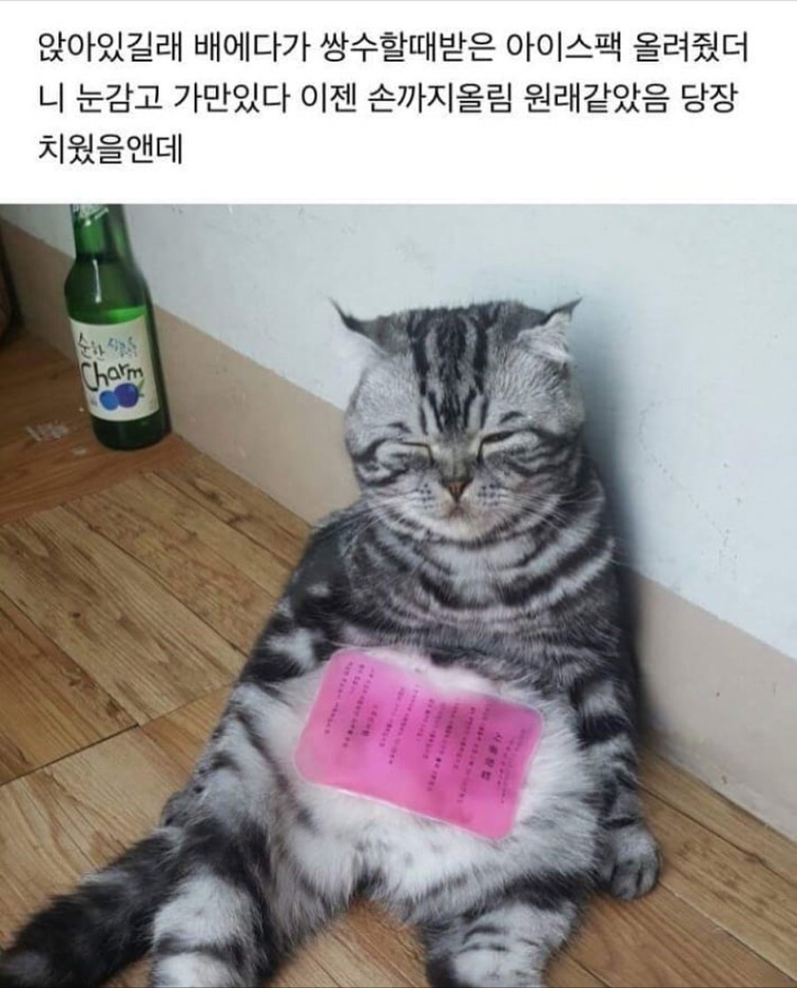 대한민국 기후 근황_1.jpeg