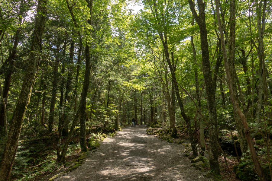 [스압] 러브라이브 없이도 누마즈를 즐기는 법 - 시즈오카 여행_80.jpg