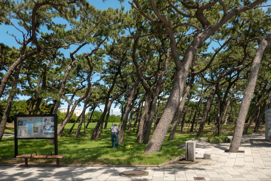 [스압] 러브라이브 없이도 누마즈를 즐기는 법 - 시즈오카 여행_112.jpg