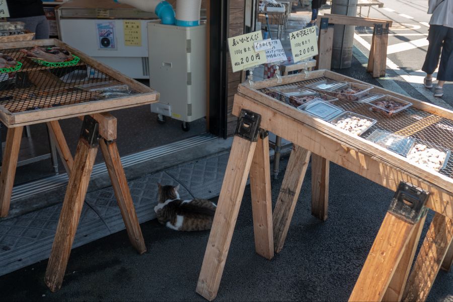 [스압] 러브라이브 없이도 누마즈를 즐기는 법 - 시즈오카 여행_115.jpg