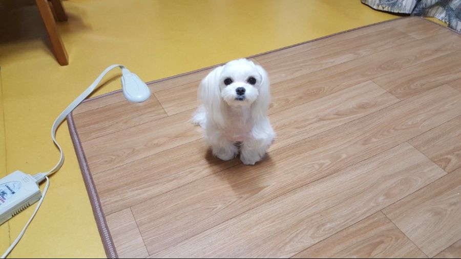 KakaoTalk_20180502_134744835.jpg