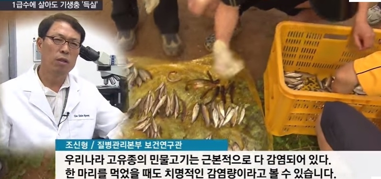 [혐주의] 1급수에 사는 민물고기라도 기생충 천지._6.jpg