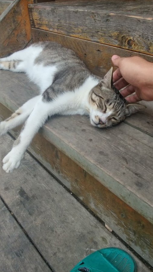 이런 곳이 있었군용_1.jpg