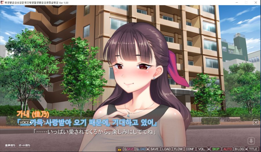 NTR도 좋지만 NTS네토라세도 좋더라