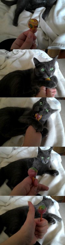 츄파춥스 껍질 간단하게 까는 꿀팁.jpg_1.jpg
