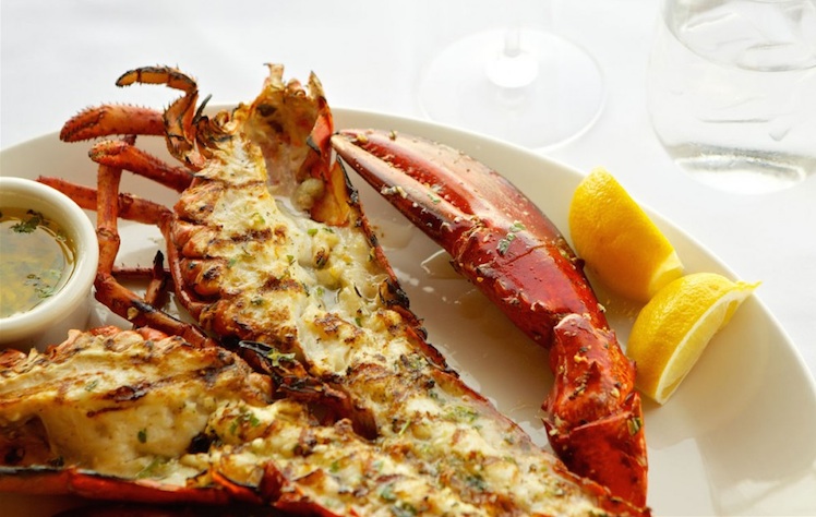 the-lobster-grilled-american-lobster.jpg