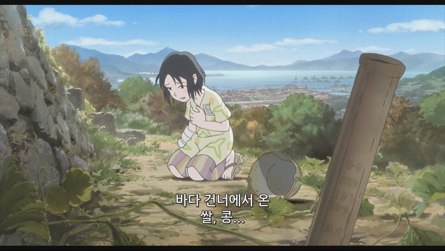 日本アニメーションに登場した太極旗 jpg
