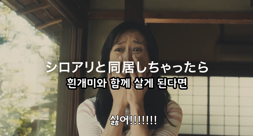 img/19/01/24/1688006353011a1ea.png