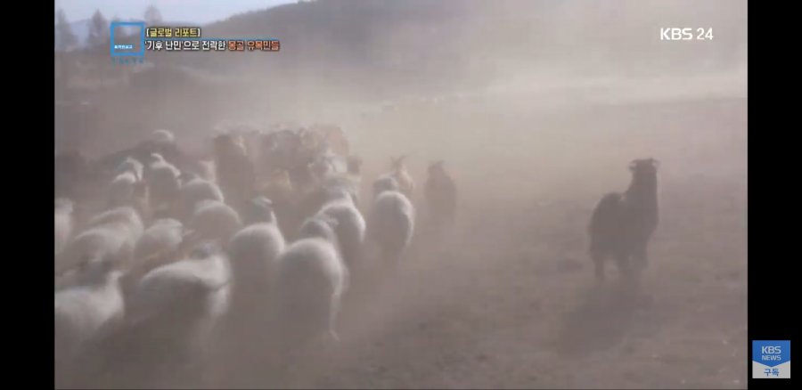 몽골 근황.news_2.jpg