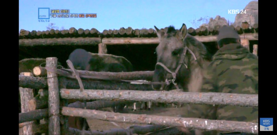 몽골 근황.news_4.jpg