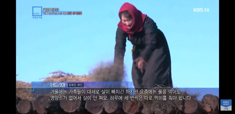 몽골 근황.news_7.jpg