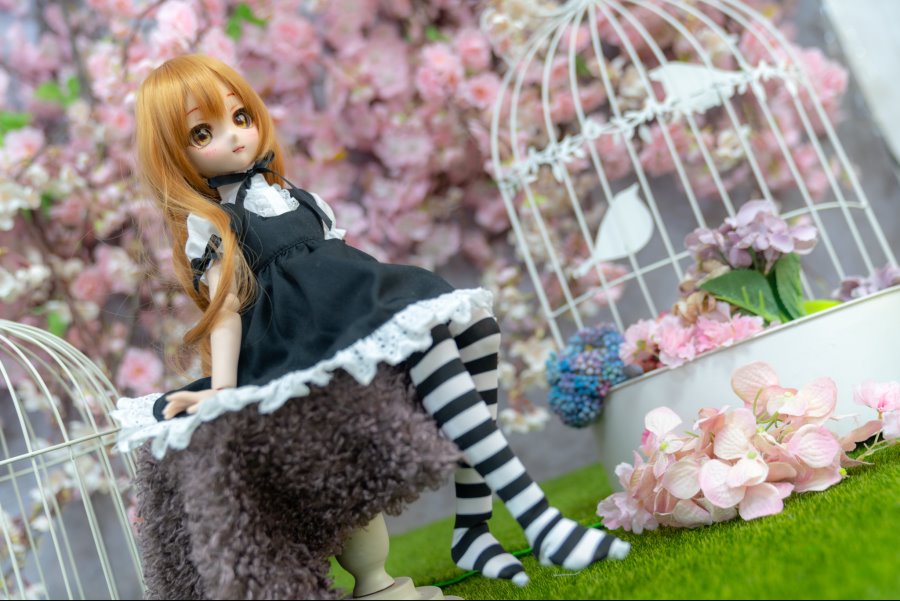 카페출사 다녀왔습니다. + 새로운DD영입_7.jpg