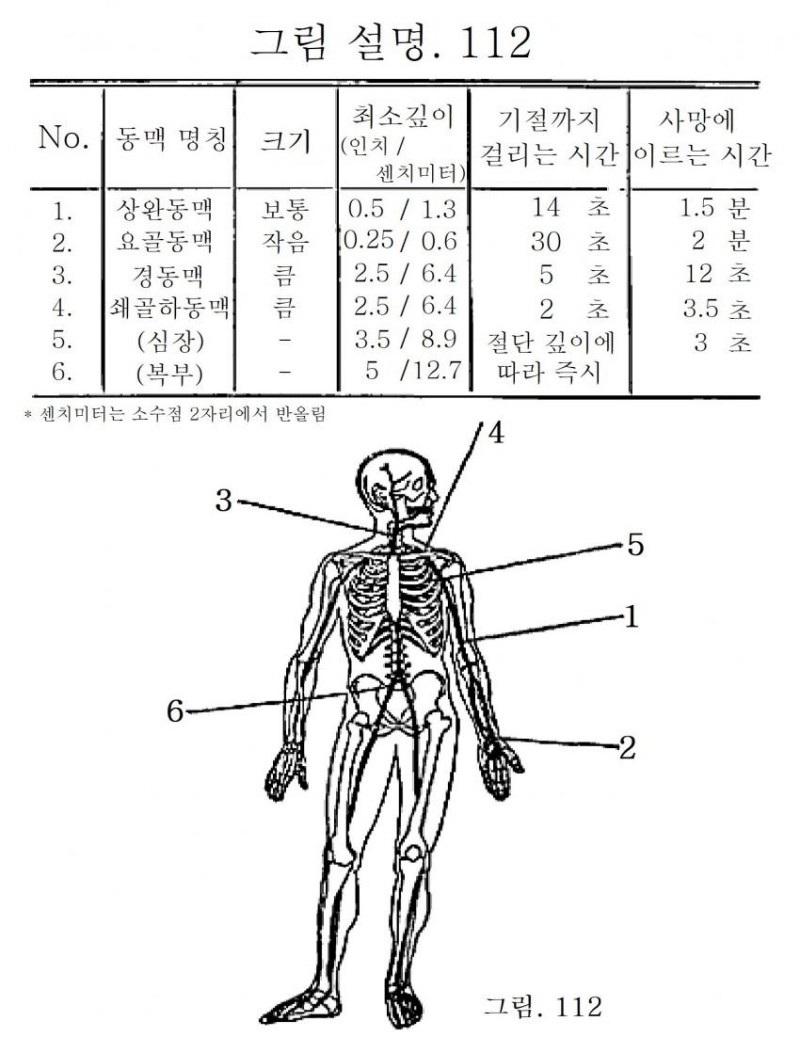 신체 부위별 동맥 절단시 기절 및 사망까지 걸리는 시간.jpg_1.jpg