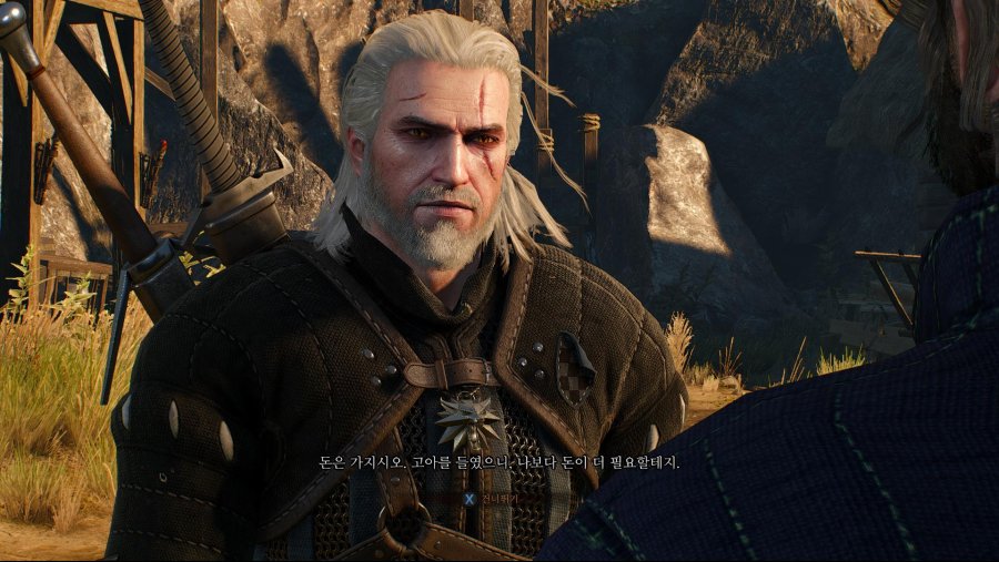 witcher3 2019-02-10 20-13-13-60.jpg