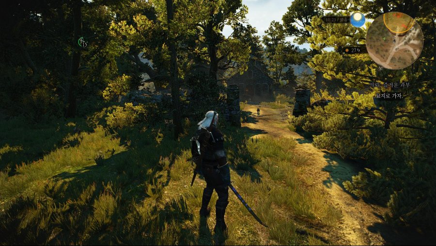 witcher3 2019-02-10 20-44-53-91.jpg