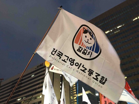 리얼 아무말대잔치였던 탄핵 촛불집회 깃발들.jpg_1.png