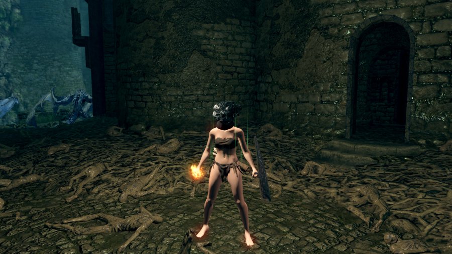 DarkSoulsRemastered 2019-02-17 18-43-44포맷변환_.jpg