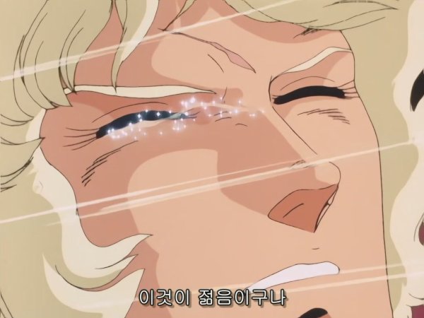 ???: 인정하고 싶지 않군. 내 젊음으로 인한 과오라는 것을_2.jpg