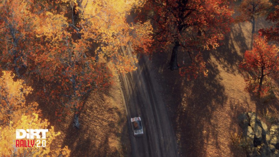 DiRT Rally 2_0_20190226230409.jpg