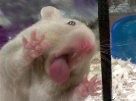 오타쿠들아 니들이 좋아하는 애니 댓으로달아봐라_1.jpg