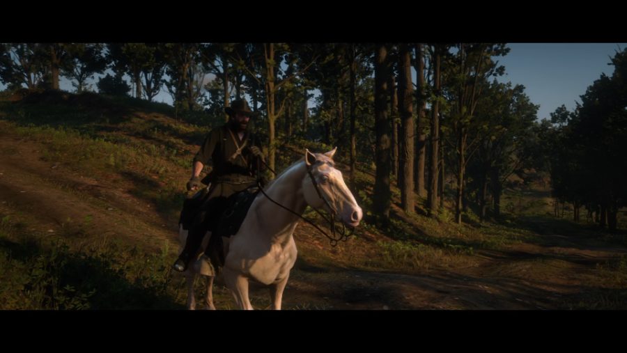 Red Dead Redemption 2_20190303154628.png